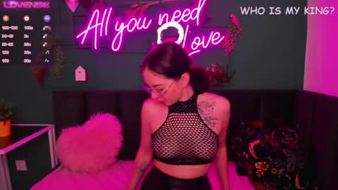 amandafields online show from December 19, 2024, 12:41 am