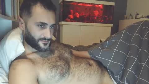 hairycub online show from December 24, 2024, 9:48 pm