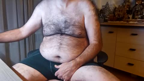 bigbibear88 online show from December 10, 2024, 11:21 pm