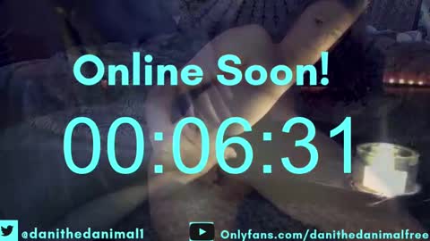 danithedanimal online show from December 7, 2024, 1:52 am