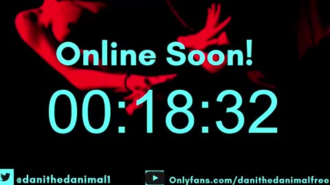 danithedanimal online show from December 9, 2024, 3:33 am