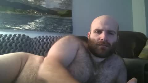 Hairiest Bear online show from January 12, 2025, 8:42 am