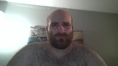 Hairiest Bear online show from December 28, 2024, 7:44 pm