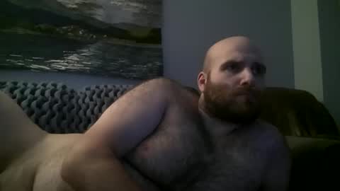 Hairiest Bear online show from January 11, 2025, 9:53 am