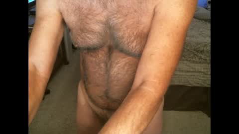 Hairy pecs online show from November 13, 2024, 9:33 am