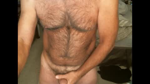 Hairy pecs online show from November 14, 2024, 9:49 am