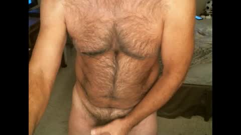 Hairy pecs online show from November 16, 2024, 10:17 am