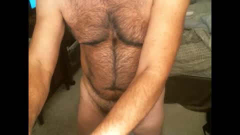 Hairy pecs online show from November 27, 2024, 9:38 am