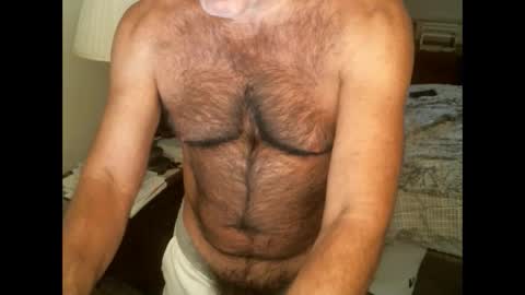 Hairy pecs online show from November 30, 2024, 3:19 am