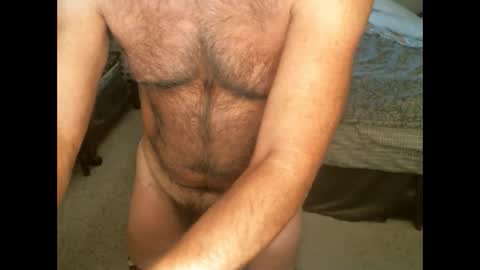 Hairy pecs online show from November 24, 2024, 9:38 am