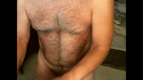 Hairy pecs online show from February 2, 2025, 10:05 am