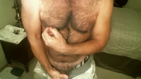 Hairy pecs online show from November 26, 2024, 4:46 am