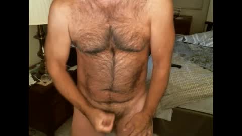 Hairy pecs online show from December 17, 2024, 3:01 am