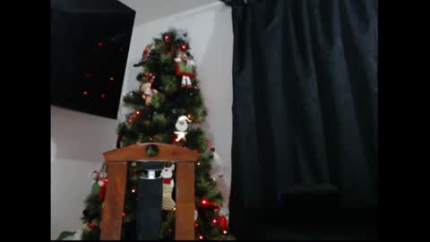 lylii_evans online show from December 19, 2024, 12:30 am