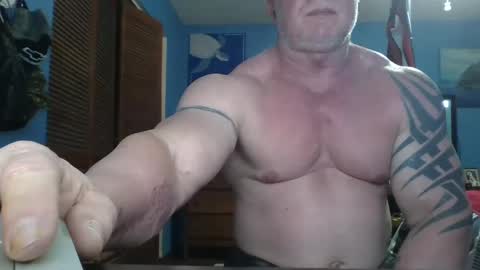 muscle250 online show from January 9, 2025, 7:21 am