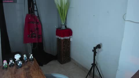 naughty_joli online show from January 5, 2025, 12:10 pm