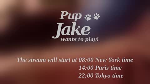 Pup Jake wants to play online show from December 25, 2024, 12:09 pm