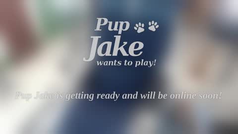 Pup Jake wants to play online show from January 5, 2025, 12:53 pm