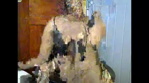 sexie_barbie_ online show from December 7, 2024, 9:58 am