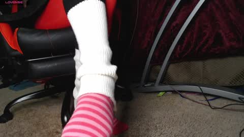 socksysockss online show from January 8, 2025, 4:46 am